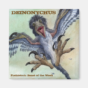 Imã Ímã de Deinonychus