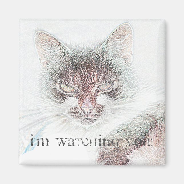 Imã Ímã de Desenho de Rosto de Gato Furioso Fofo (Frente)