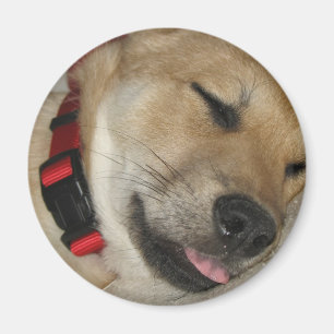 Imã Ímã de Dexter Bebe do fim de semana