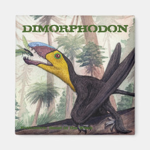 Imã Ímã de Dimorphodon