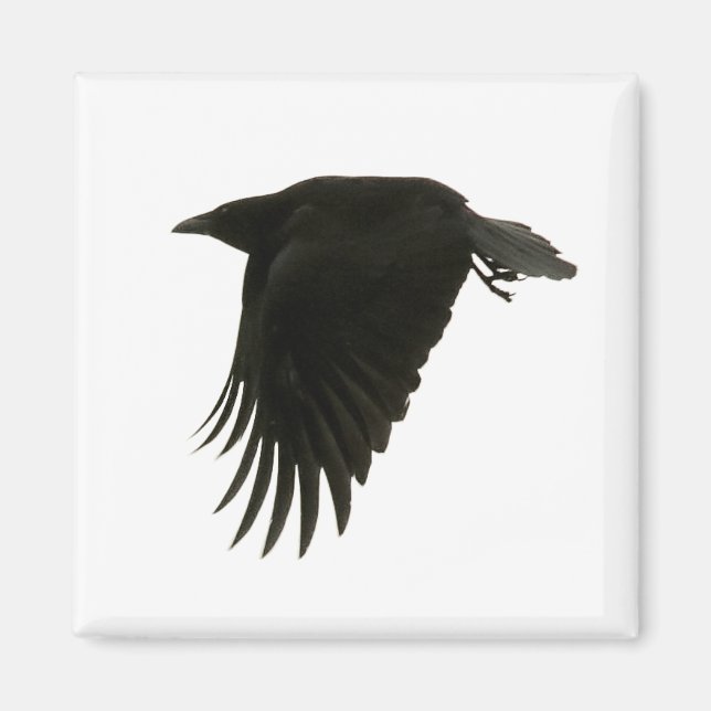 Imã ímã de downbeat (Frente)