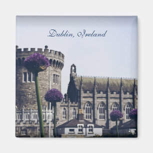 Imã Ímã de Dublin
