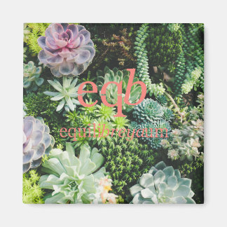 Imã ímã de equilíbrio