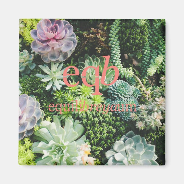 Imã ímã de equilíbrio (Frente)