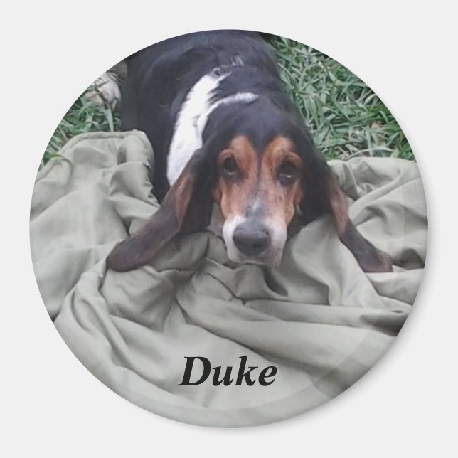 Imã Ímã de Estimação Duke (Frente)