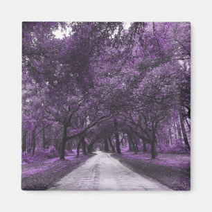 Imã ímã de estrada de segurança
