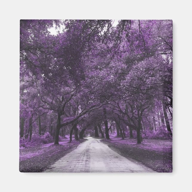 Imã ímã de estrada de segurança (Frente)