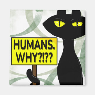 Imã Ímã de Fanny Bad Boogie - Humanos. Por quê? placa