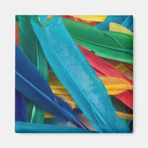 Imã Ímã de Featherly