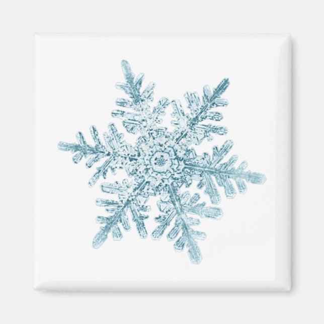 Imã Ímã de Floco de Neve (Frente)