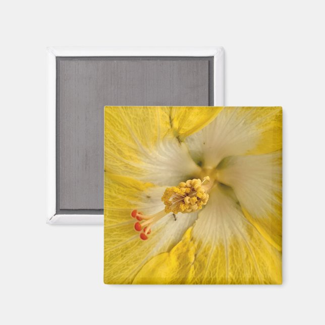 Imã Ímã de Flor (Front/Back)