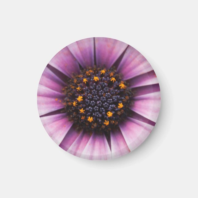 Imã Ímã de flor no meio (Frente)