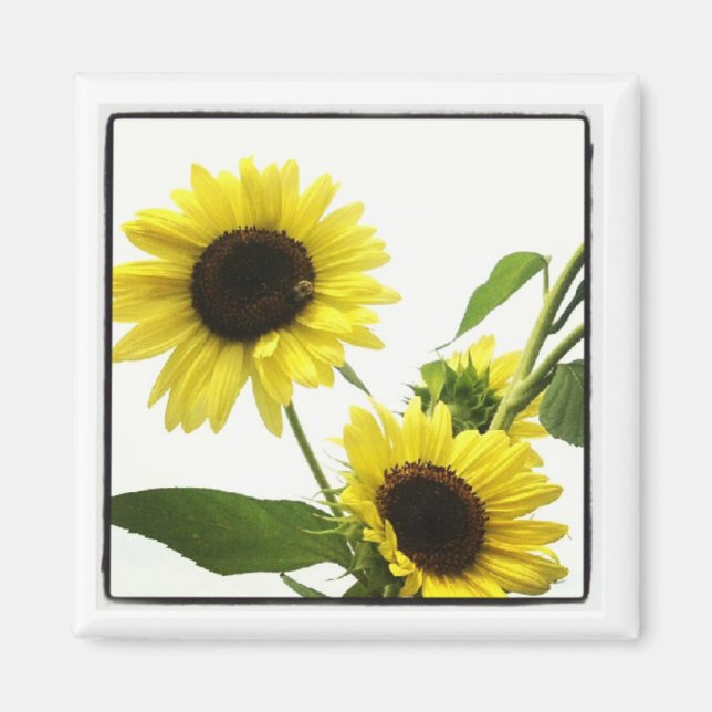 Imã ímã de fotos do instagram (Frente)