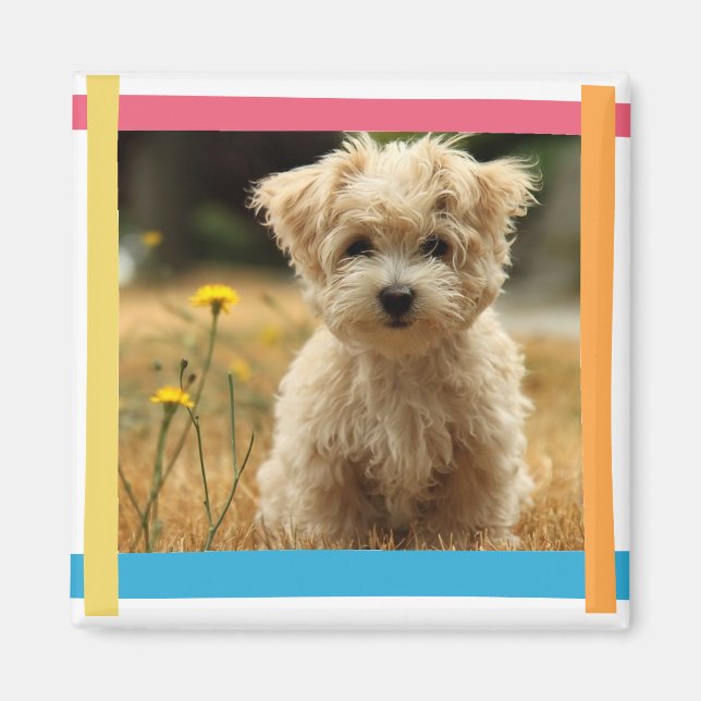 Imã ímã de fotos do instagram (Frente)