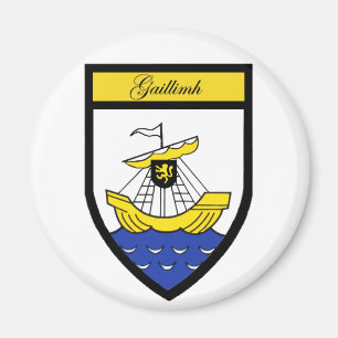 Imã Ímã de Galway do condado