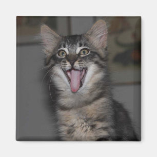 Imã Ímã de Garren Caspian Yawning
