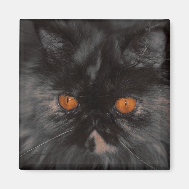 Imã ímã de Gatinho de salvamento (Frente)