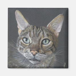 Imã Ímã de gato Bengal
