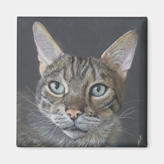 Imã Ímã de gato Bengal (Frente)