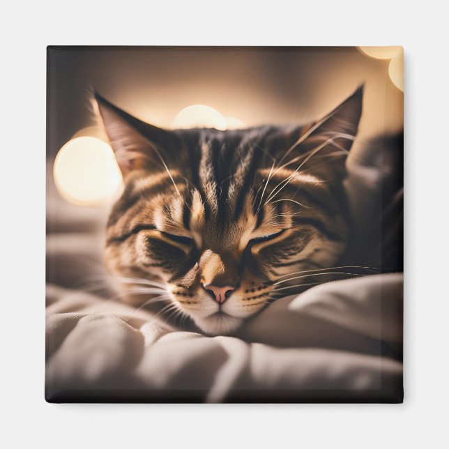 Imã Ímã de Gato Dormindo (Frente)