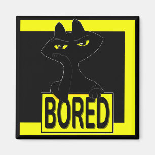 Imã Ímã de Gato Preto Bad Boogie Engraçado Sarcástico 