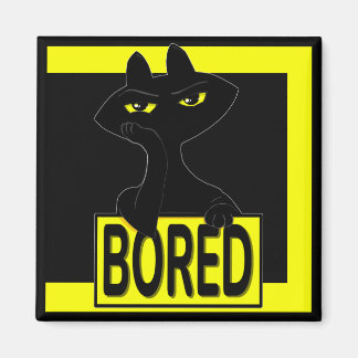Imã Ímã de Gato Preto Bad Boogie Engraçado Sarcástico
