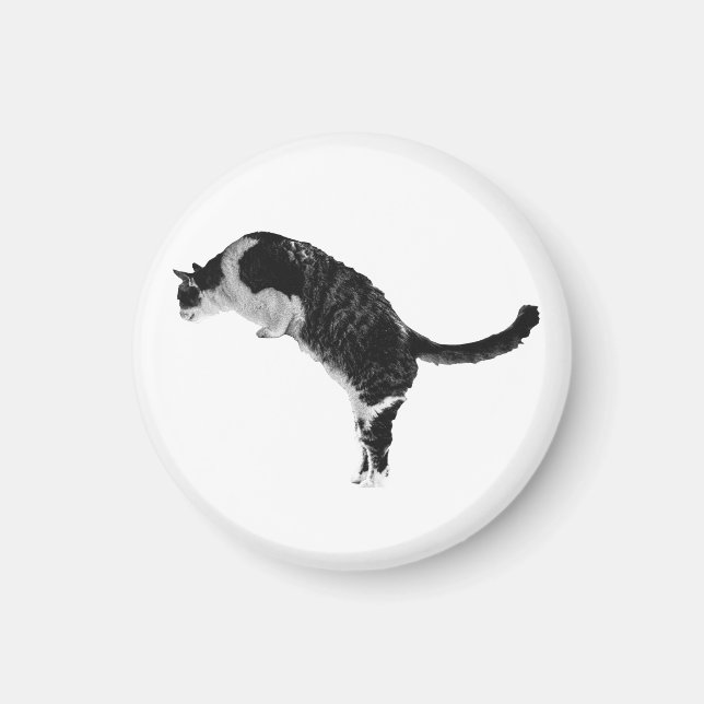 Imã Ímã de Gato Texturizado (Frente)