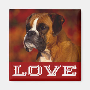 Imã Ímã de Geladeira Cachorrinho Boxer Amor