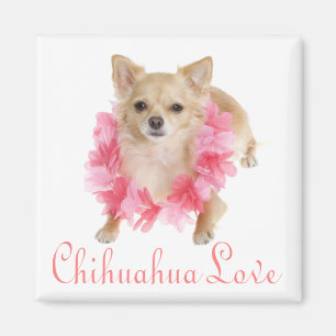 Imã Ímã de Geladeira Cachorrinho Chihuahua de Amor