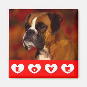 Imã Ímã de Geladeira Cachorro Boxer Amoroso