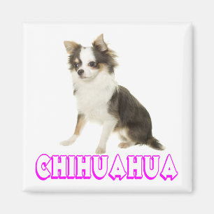 Imã Ímã de Geladeira Cachorro Chihuahua Filhote Amor