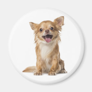 Imã Ímã de Geladeira Cachorro Chihuahua Filhote Amor
