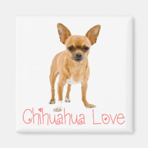 Imã Ímã de Geladeira Cachorro Chihuahua Filhote Amor