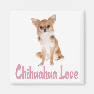 Imã Ímã de Geladeira Cachorro Chihuahua Filhote Amor