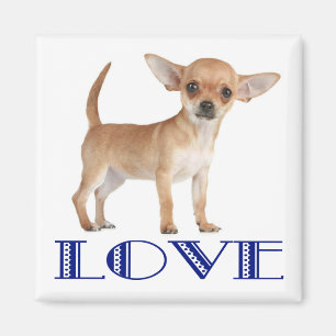 Imã Ímã de Geladeira Cachorro Chihuahua Filhote Amor