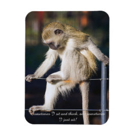 Ímã Imã de geladeira com macaco e slogan