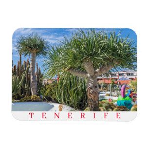 Ímã Imã de geladeira das árvores de Tenerife