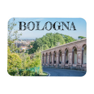 Ímã imã de geladeira de Bologna Portico di San Luca