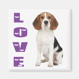 Imã Ímã de Geladeira de Cachorro Beagle Fofinho de Amo