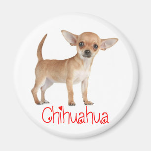 Imã Ímã de Geladeira de Cachorro Chihuahua Filhote Amo