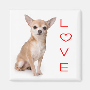 Imã Ímã de Geladeira de Cachorro Chihuahua Filhote Amo