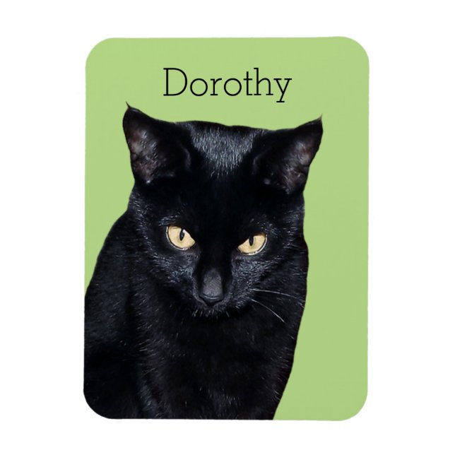 Ímã Imã de geladeira de Cozinha de Fotografia Real de  (Vertical)