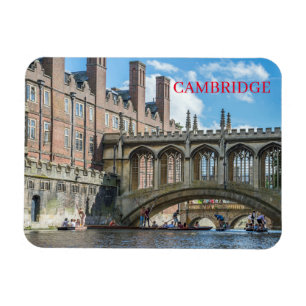 Ímã imã de geladeira de visualização Cambridge Brid