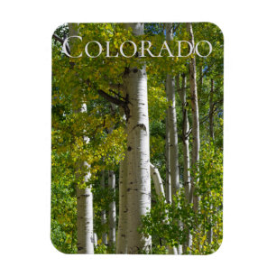 Ímã Imã de geladeira do Colorado Aspens Designer