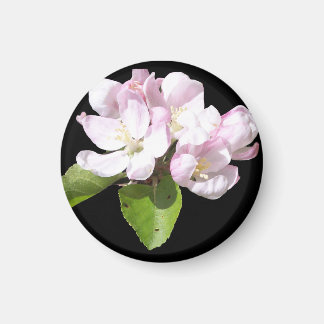 Imã Ímã de Geladeira Flor de Maçã na Primavera Redondo