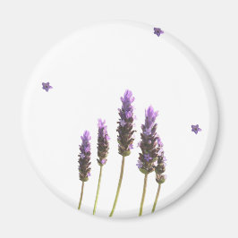 Imã Ímã de Geladeira Flor Silvestre Botânica