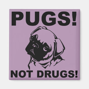 Imã Ímã de Geladeira Frigobar Engraçado Pugs Não Droga