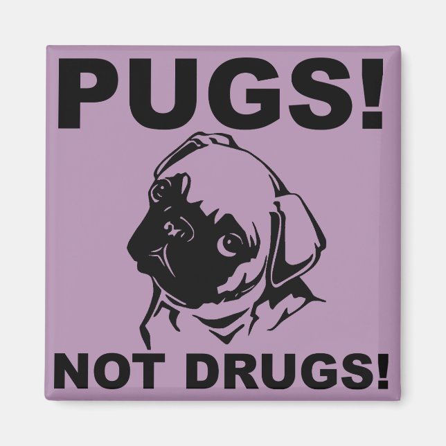 Imã Ímã de Geladeira Frigobar Engraçado Pugs Não Droga (Frente)