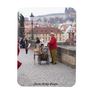 Ímã Imã de geladeira, ponte Praga de Charles