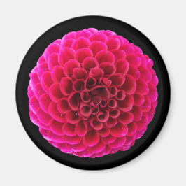 Imã Ímã de Geladeira Redondo Flor de Dália Rosa Presen